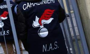 1448524669151.jpg--nas
