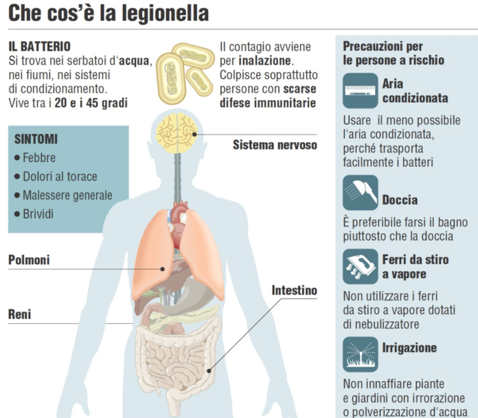 legionella-696x609