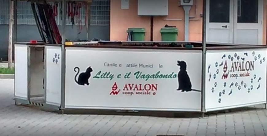 lilli-e-vagabondo-canile-parma