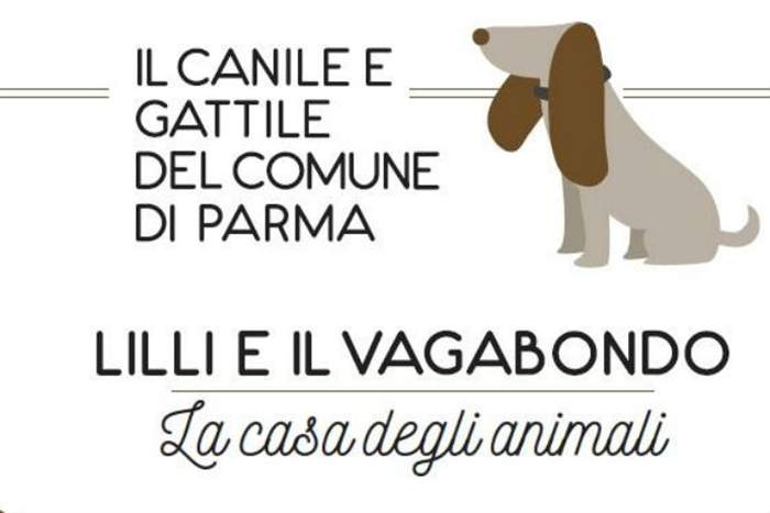 canile-lilli-e-vagabondo